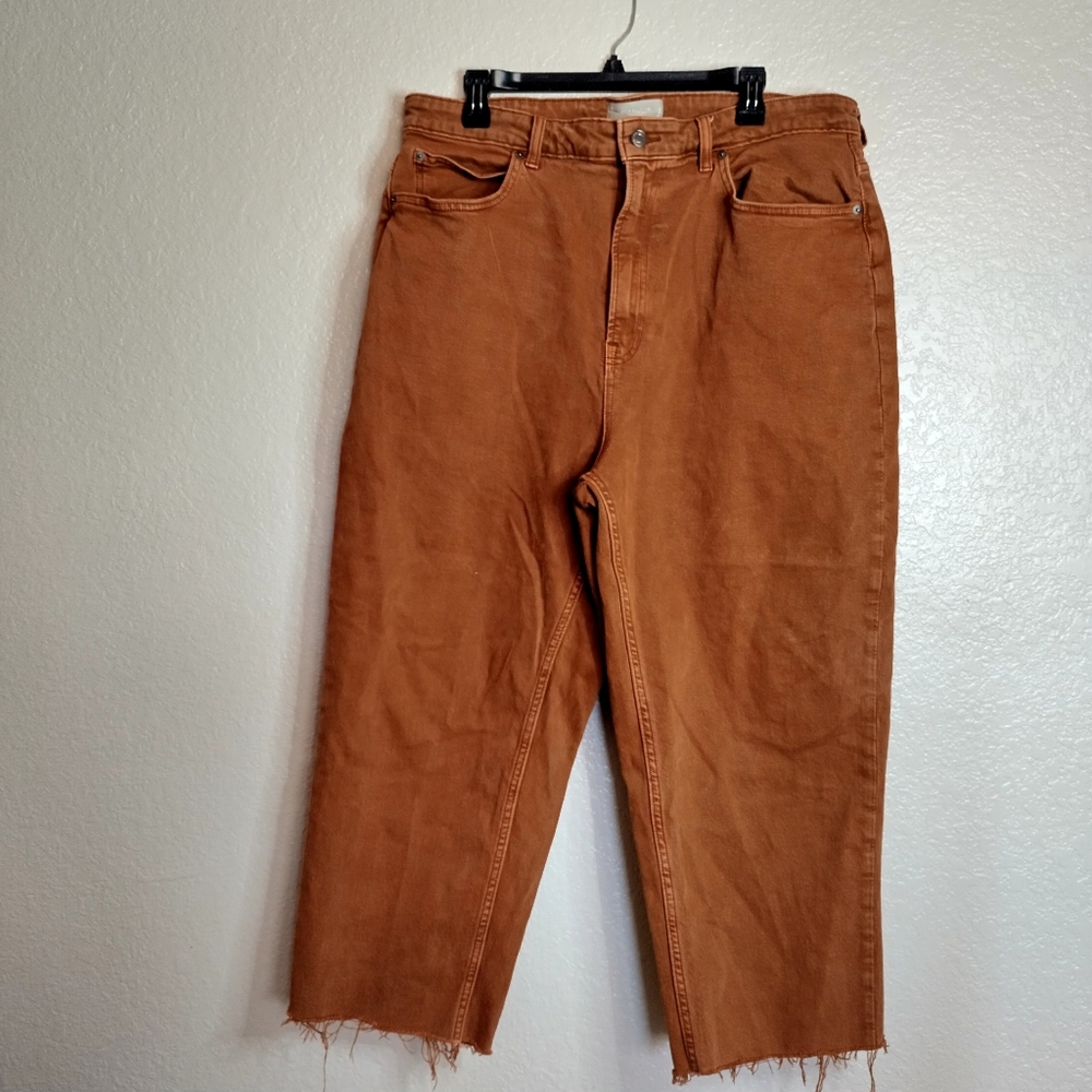Everlane Way High Straight Leg Jeans Burnt orange Sz 34 - Picture 2 of 10